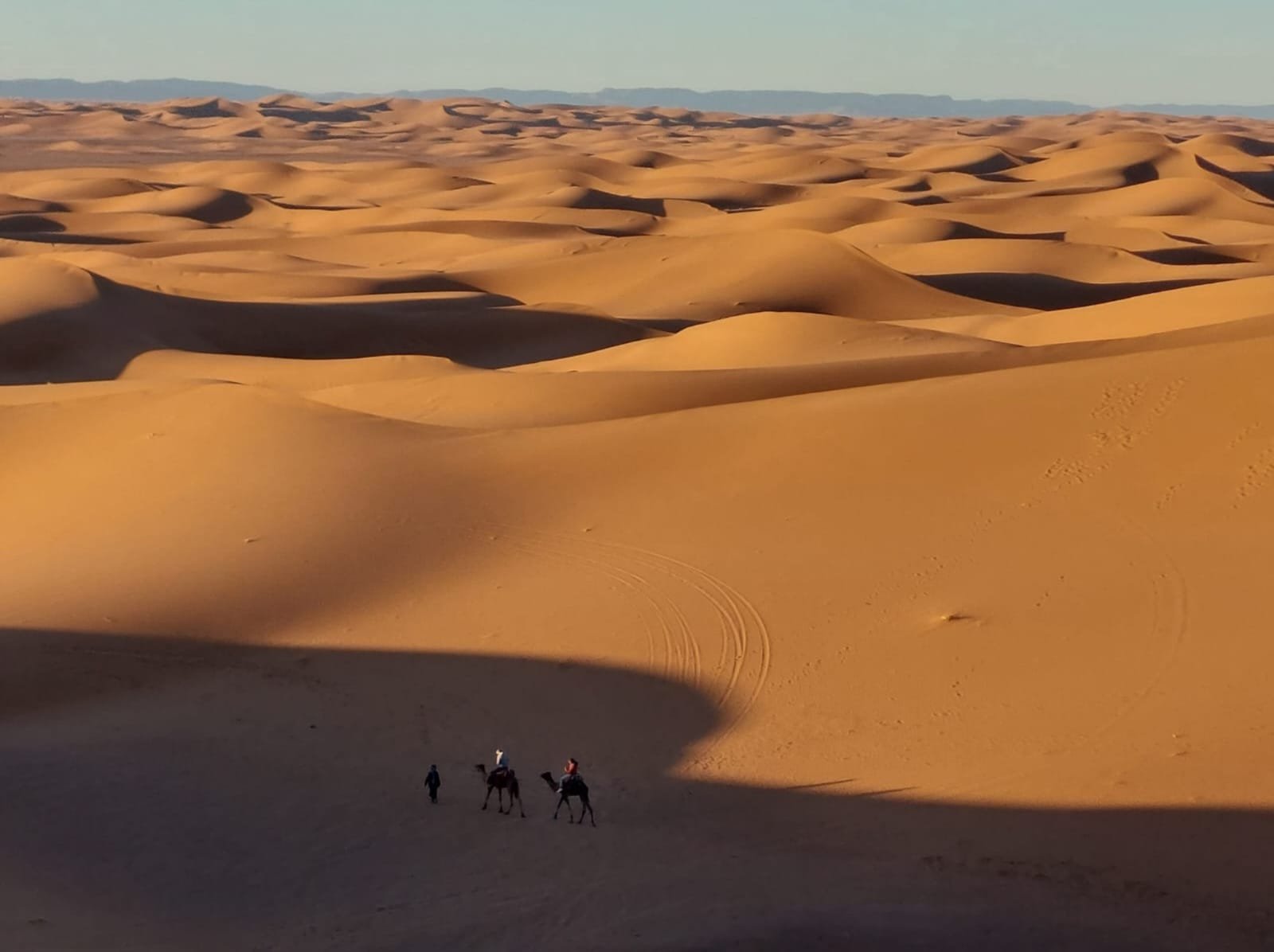 Cap sur le désert : Préparer son voyage